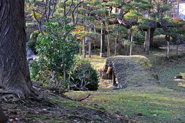 苔むした地面と生い茂る木々が特徴の庭園!
