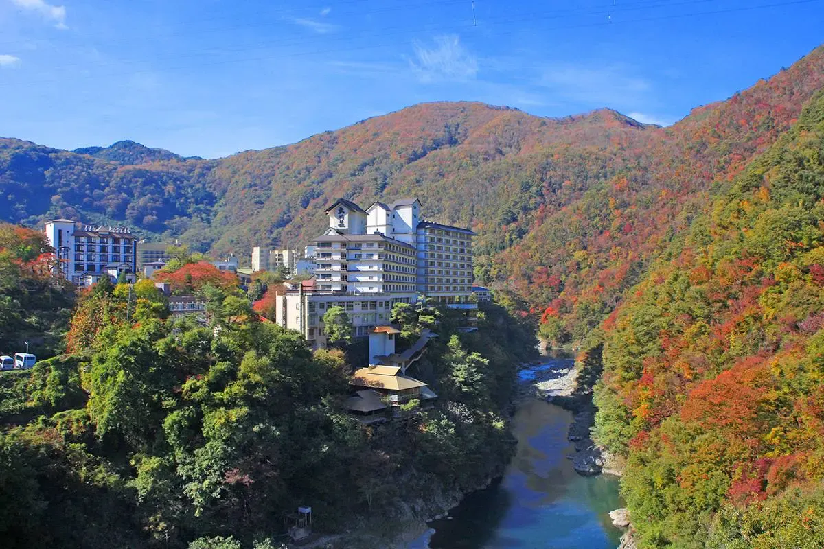 芦ノ牧温泉(写真 4)