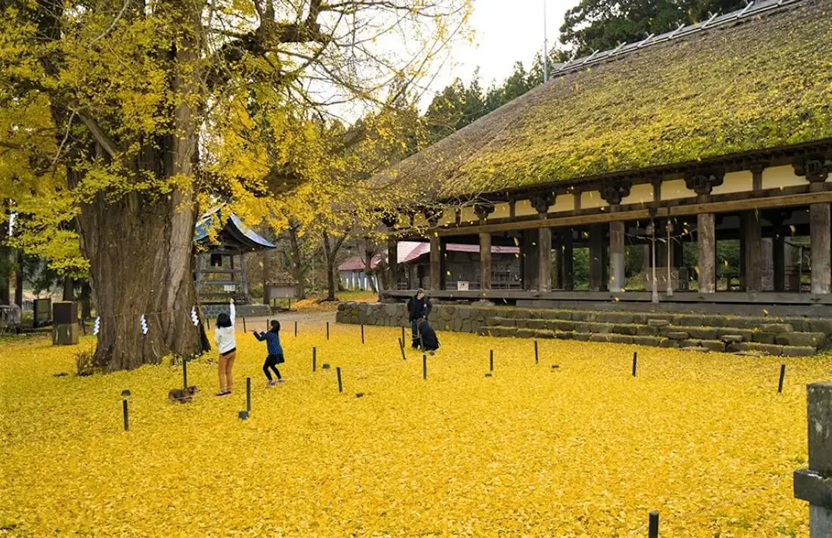 新宮熊野神社「長床」