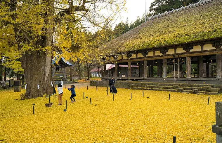 新宮熊野神社「長床」