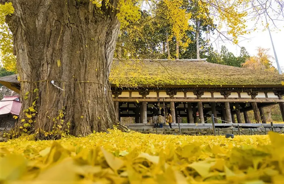 新宮熊野神社「長床」（写真 3）