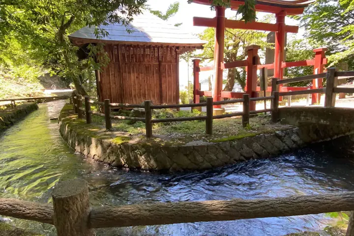 さざえ堂の周りで豊かな自然を感じよう