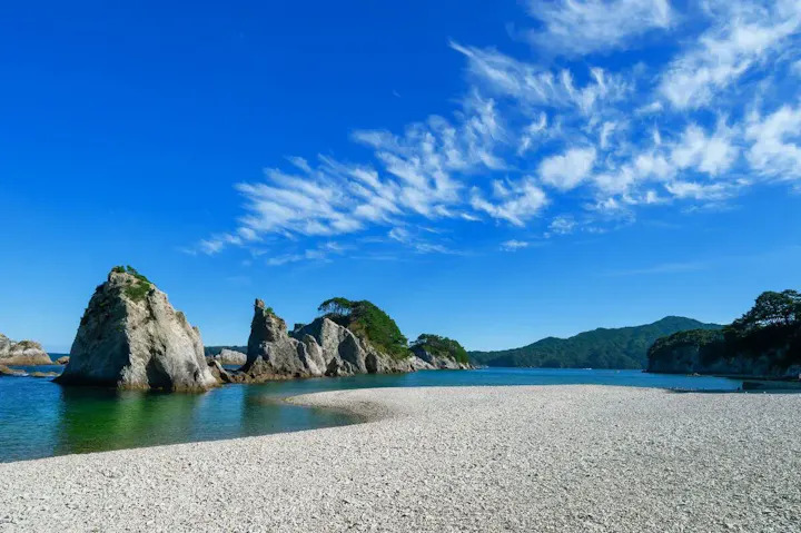 松の緑と白い岩、海の深い青が織り成す風景