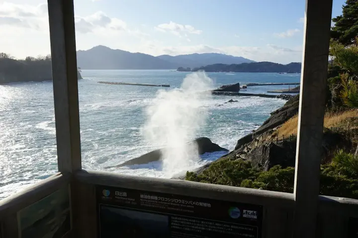 最大30mまで吹き出す迫力ある光景！