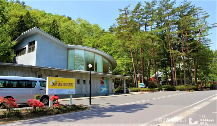 国内で唯一の琥珀専門博物館！