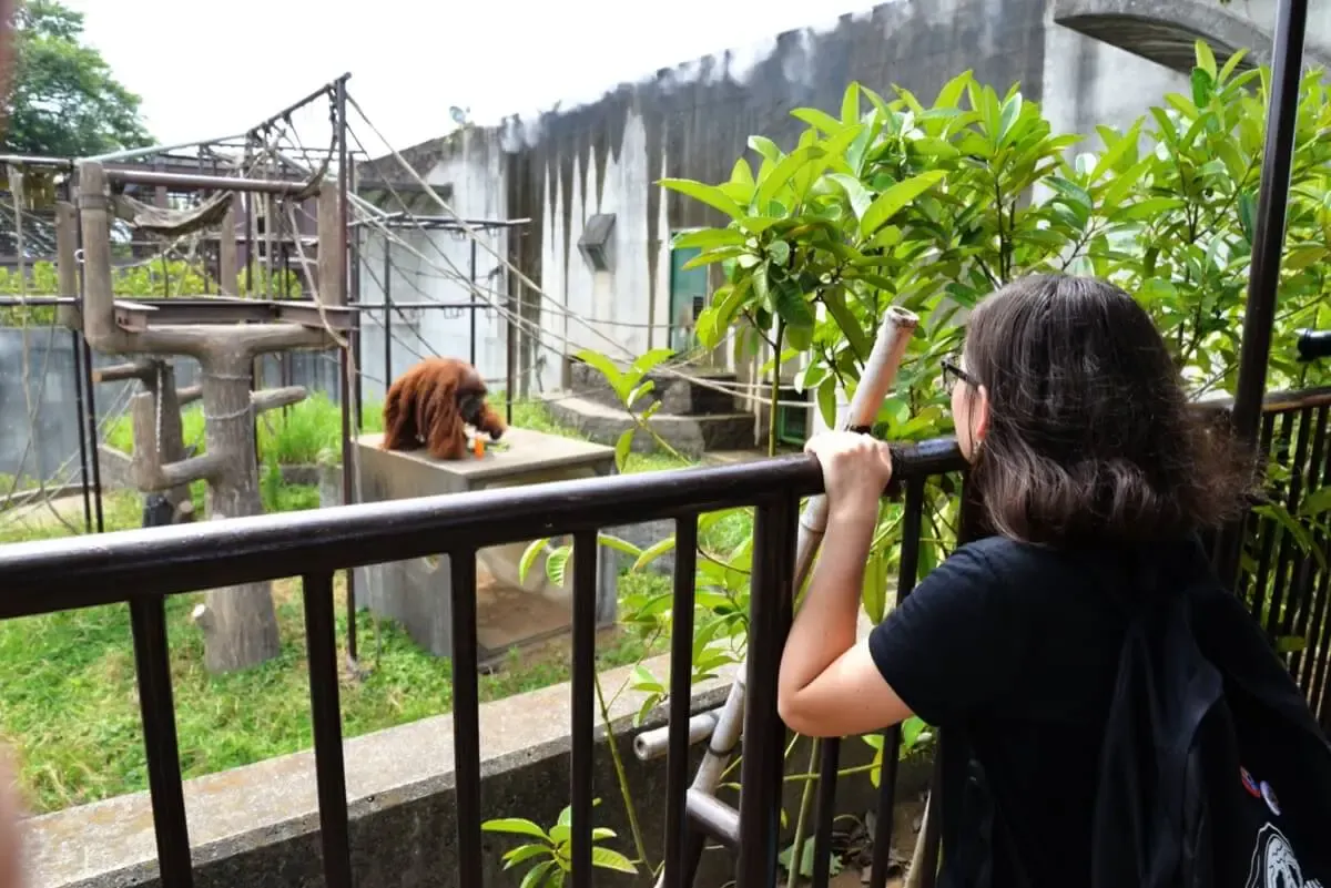 市川市動植物園(写真 2)