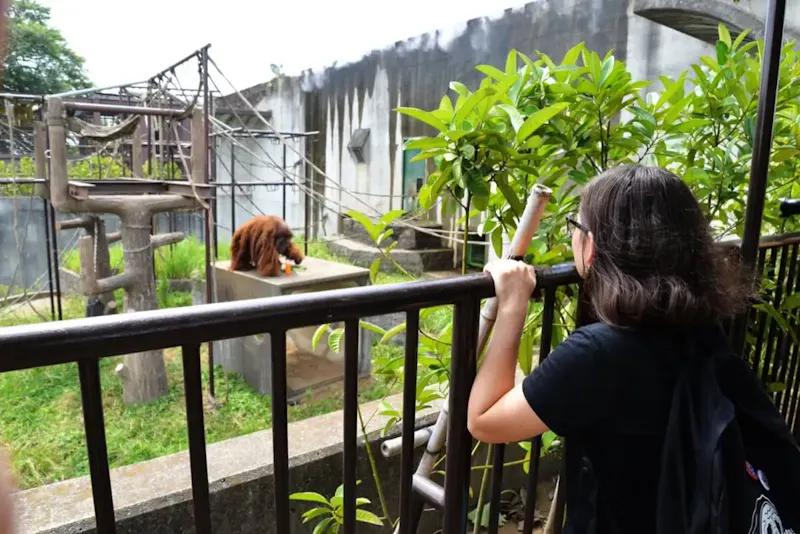 市川市動植物園