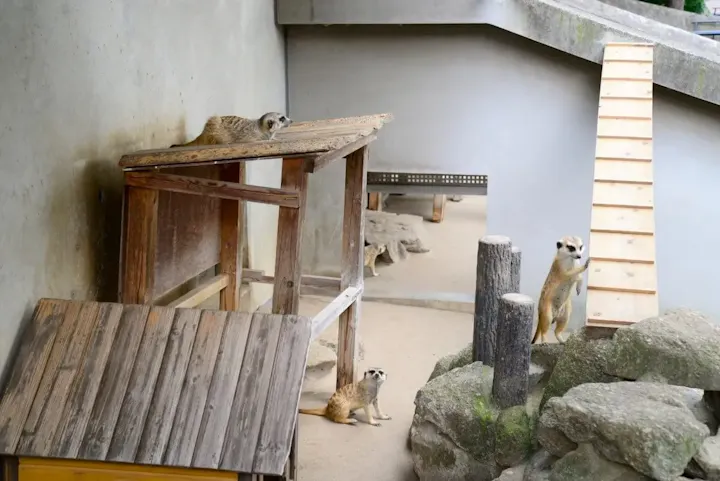 様々な動物たちの生態を観察して楽しめる！