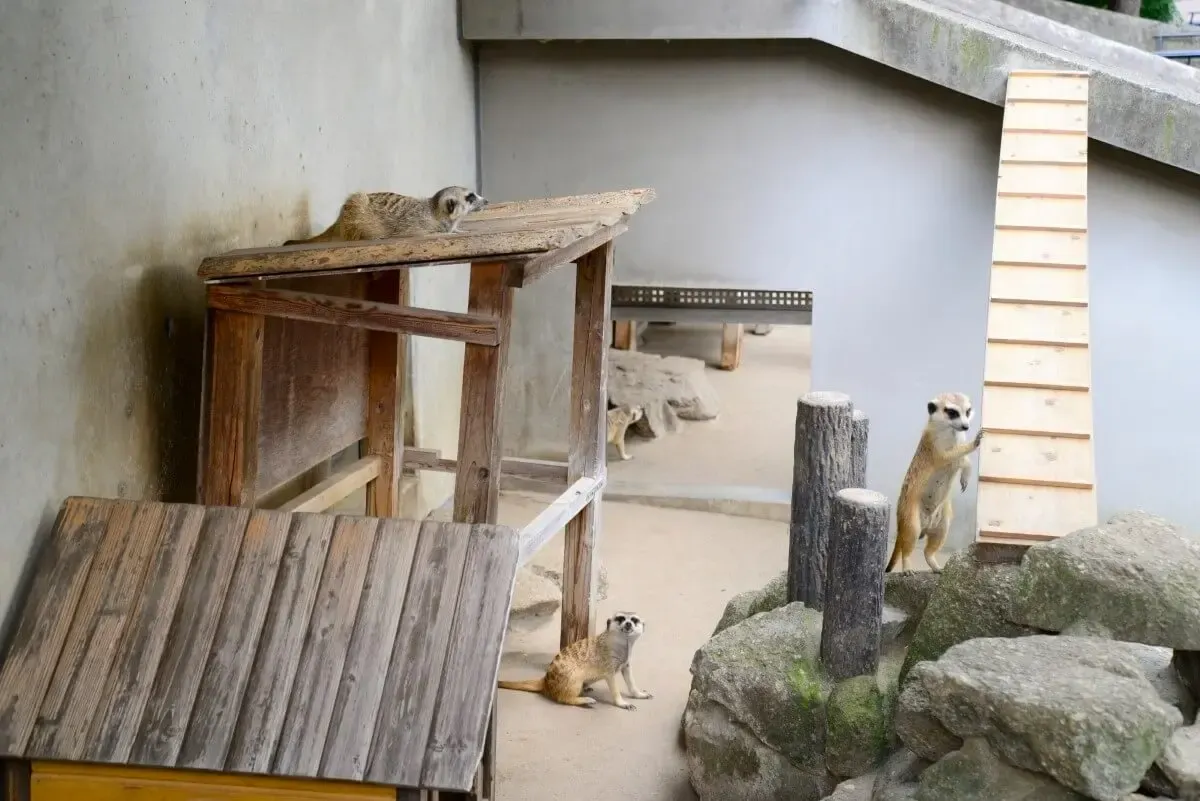 市川市動植物園(写真 3)