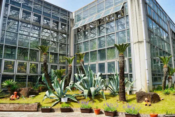 350種類の植物が無料で見られる植物園！