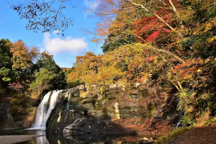 龍門の滝の美しさを楽しむ「紅葉狩り」