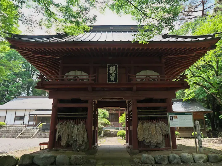 龍門の滝すぐ近くの紅葉が美しい寺院!
