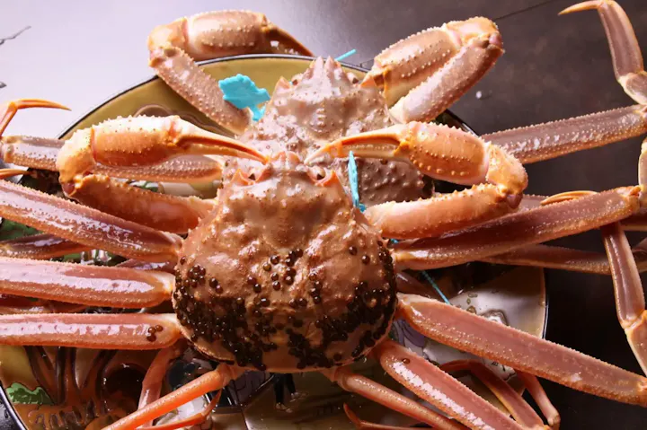 カニをはじめ食材の宝庫！