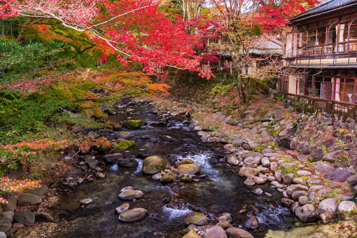 美しい自然と四季折々の風景で心癒される