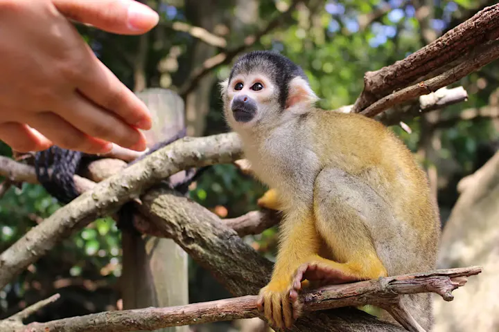 園内で暮らす約140種類の動物たち