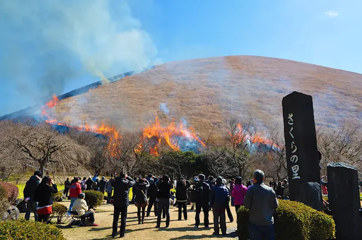山をまるごと焼き上げる大室山山焼き