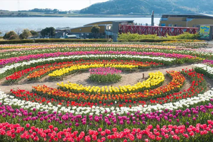 花や緑に囲まれた体験型の農業公園！