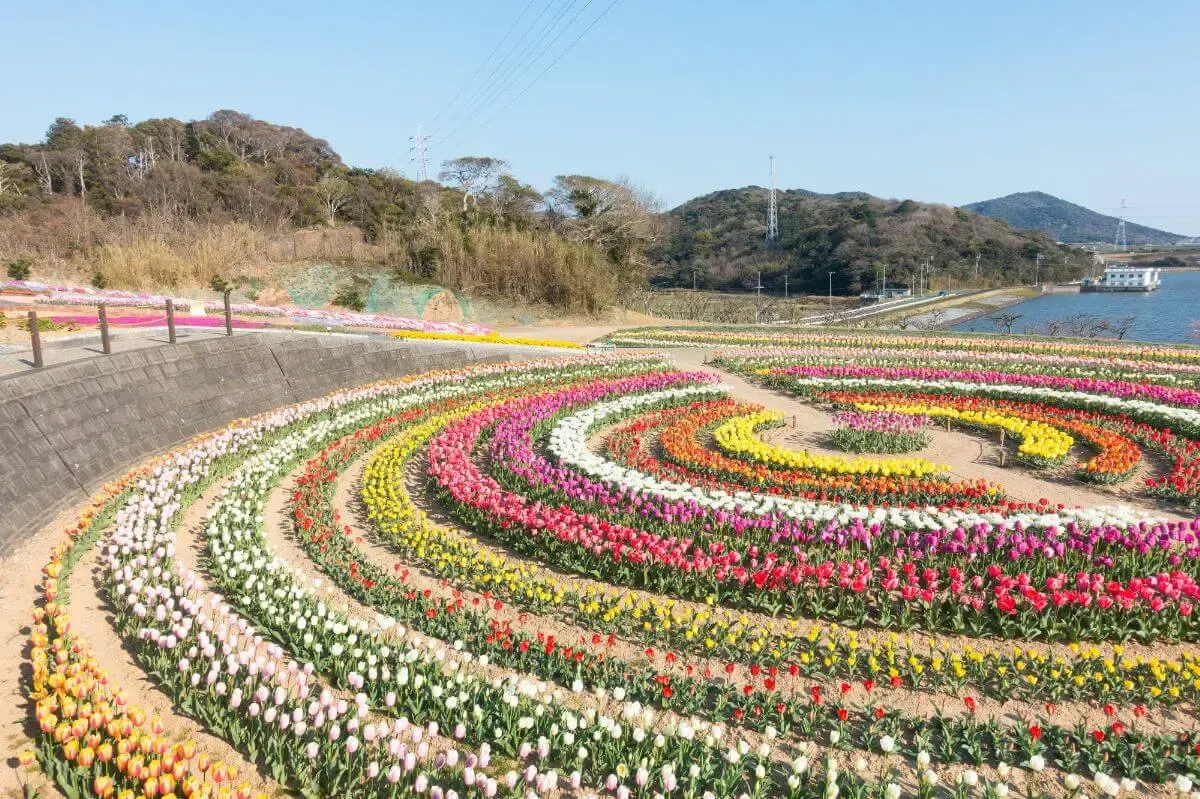 サンテパルクたはら(写真 3)