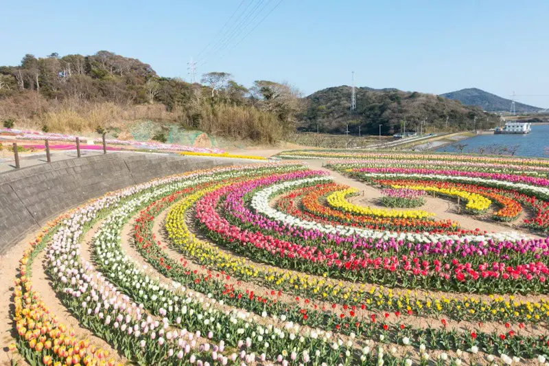 サンテパルクたはら
