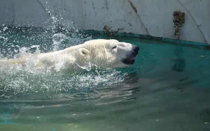 約130種類の動物たちを見られる動物園！