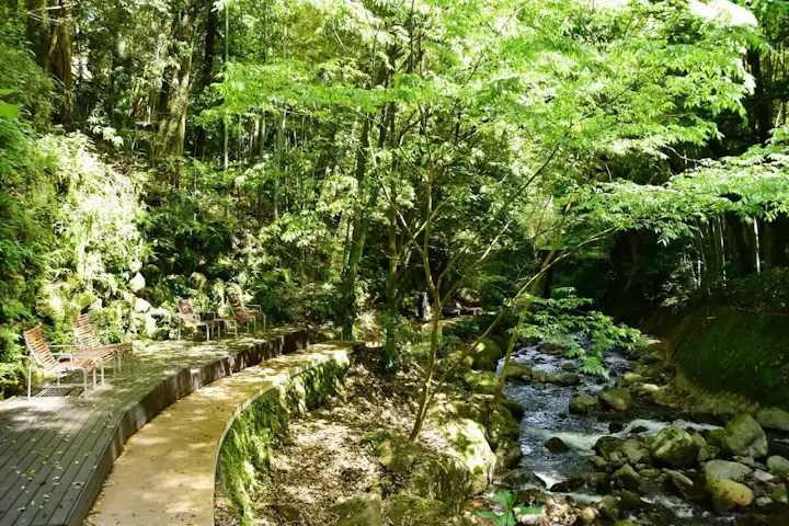 万葉公園で自然散策