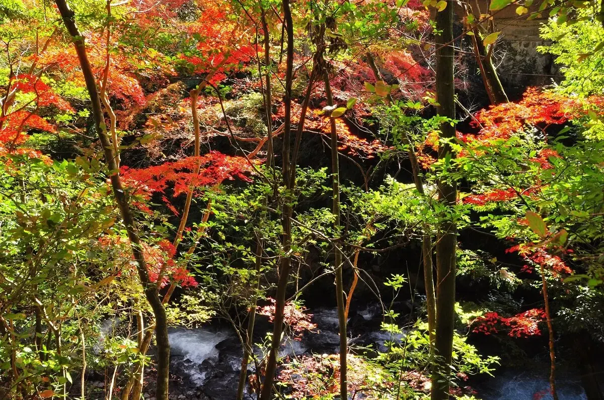万葉公園（写真 3）