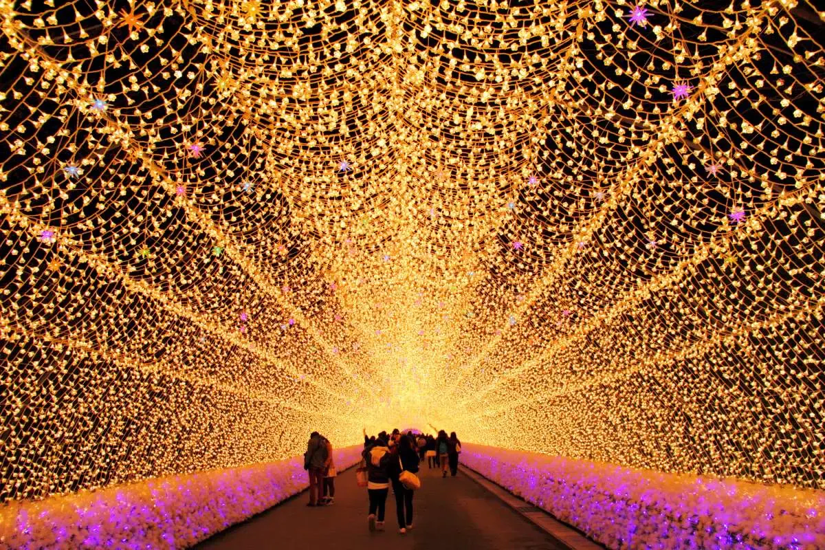 なばなの里(写真 6)