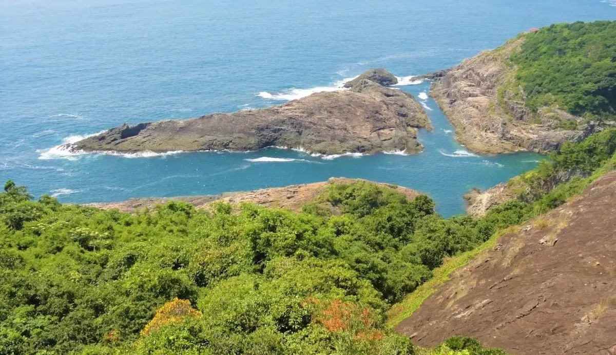 日向岬・馬ケ背（写真 5）