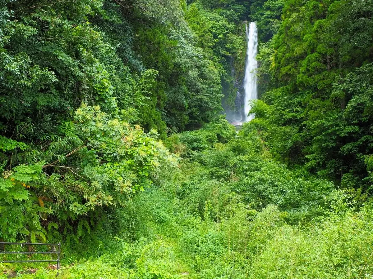 八戸観音滝(写真 6)