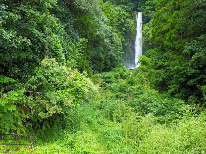 県道237号線から大きな看板を見つけよう
