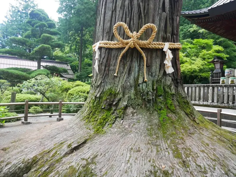 北口本宮冨士浅間神社
