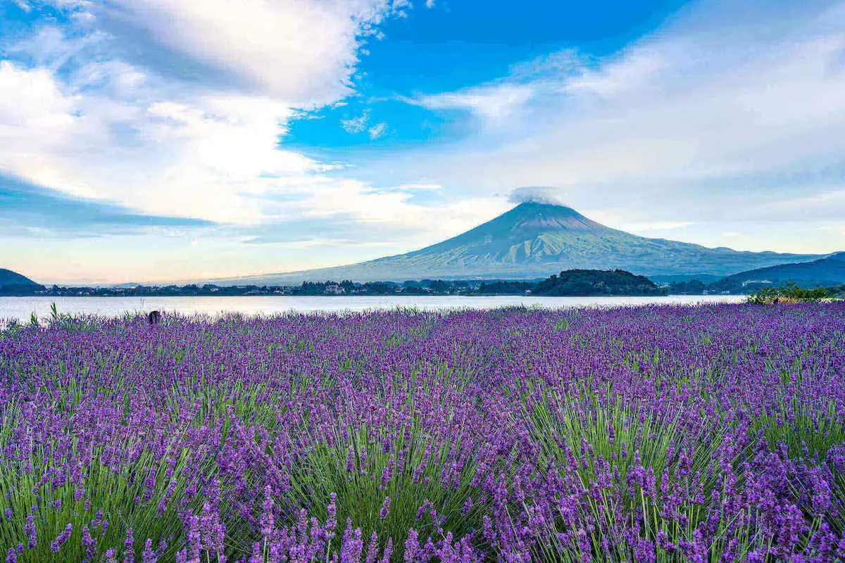 河口湖