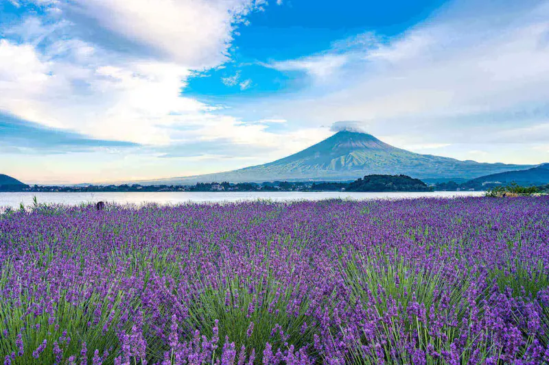 河口湖