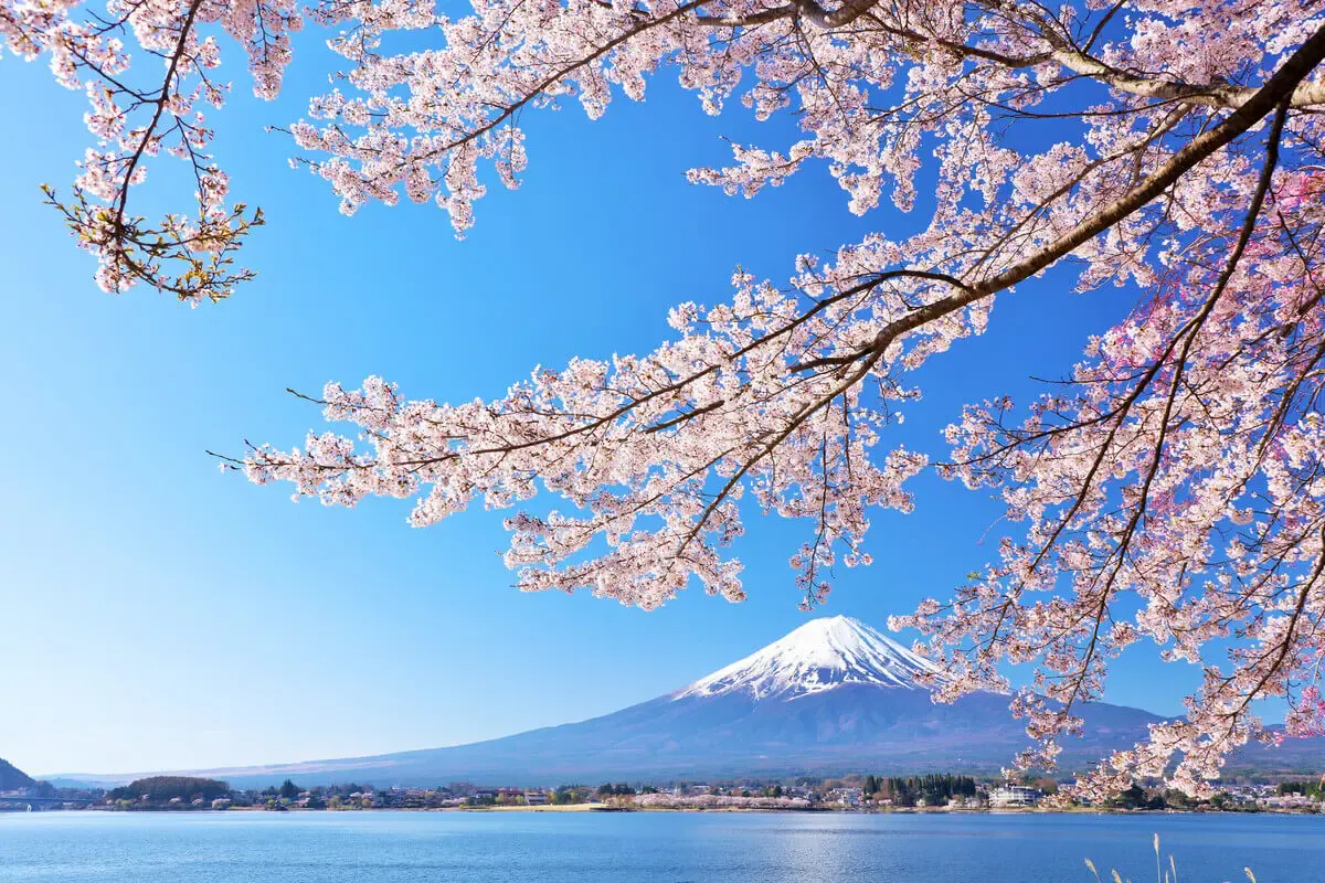河口湖(写真 3)