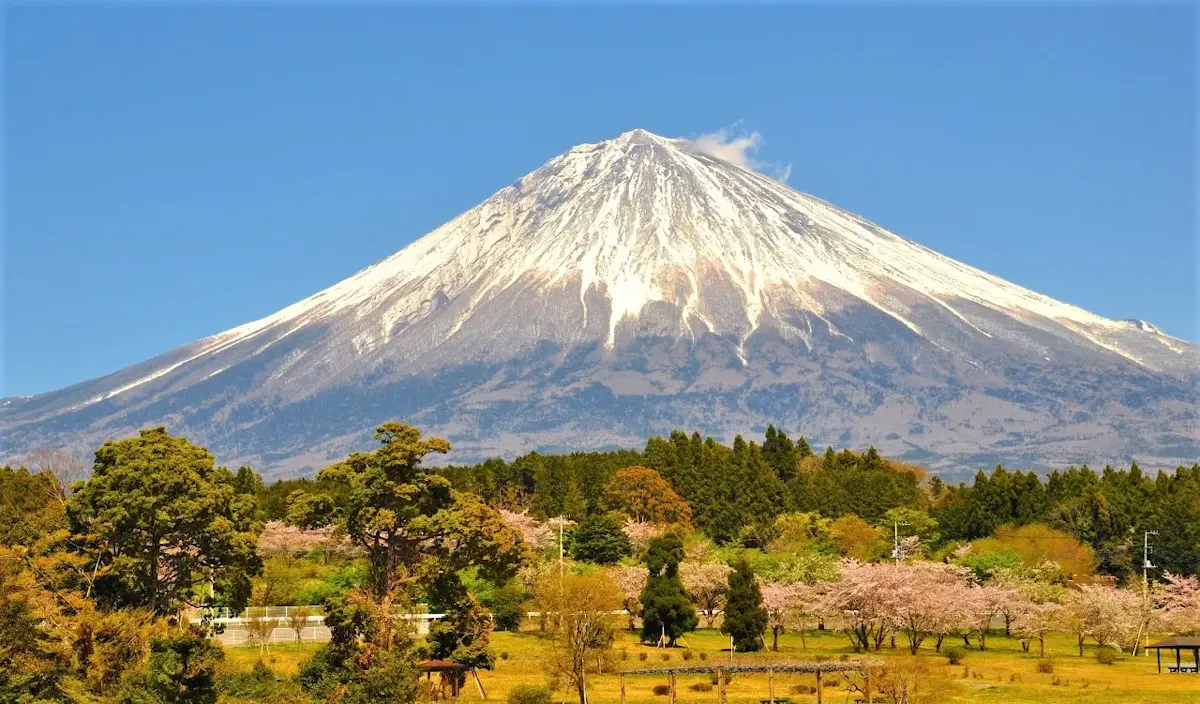富士山（写真 3）