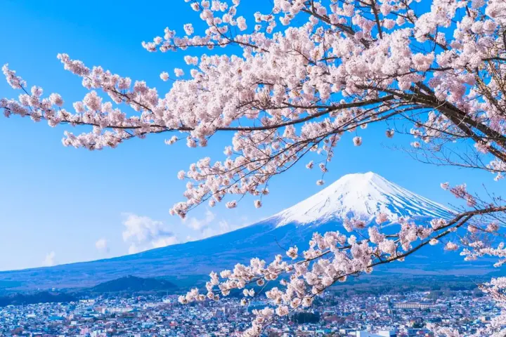 世界遺産に登録された富士山！