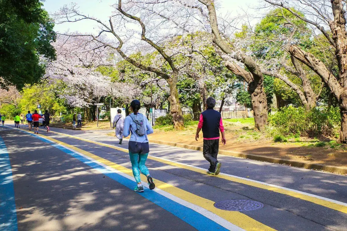 駒沢オリンピック公園(写真 2)