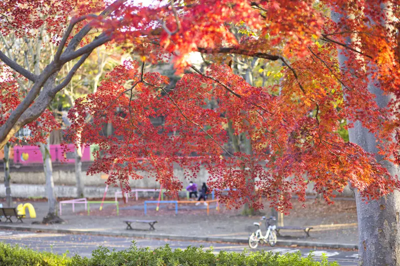 駒沢オリンピック公園