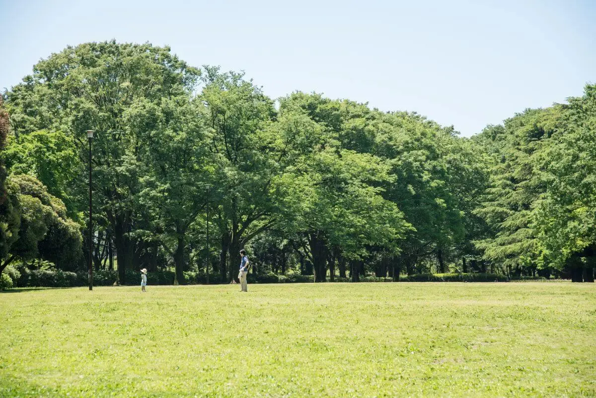砧公園