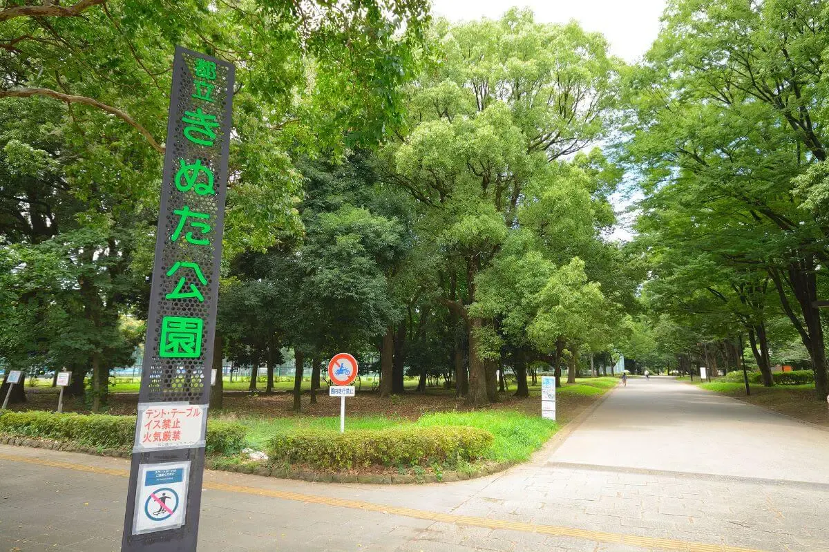砧公園(写真 2)
