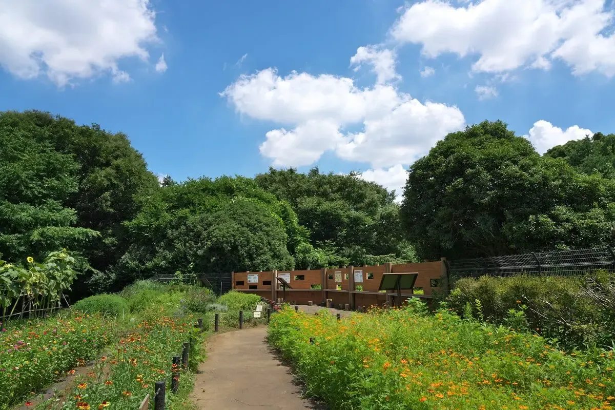 砧公園(写真 5)