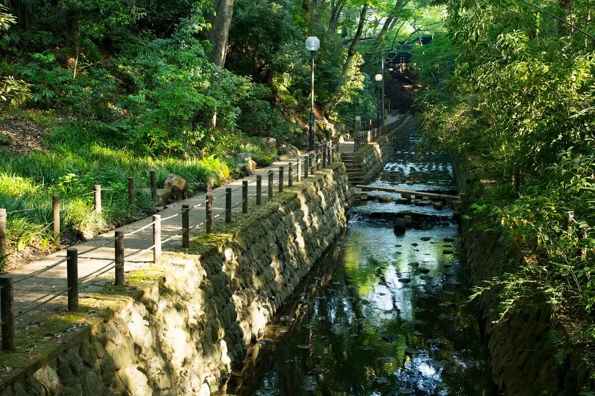 等々力渓谷（写真 4）