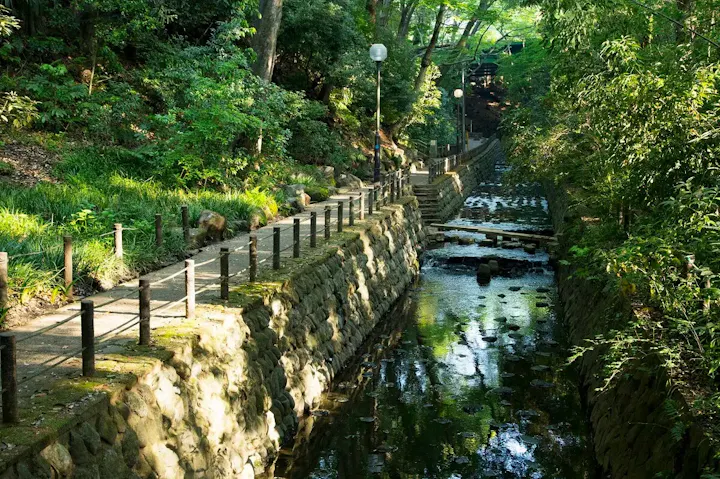 都心の渓谷で水辺を散策