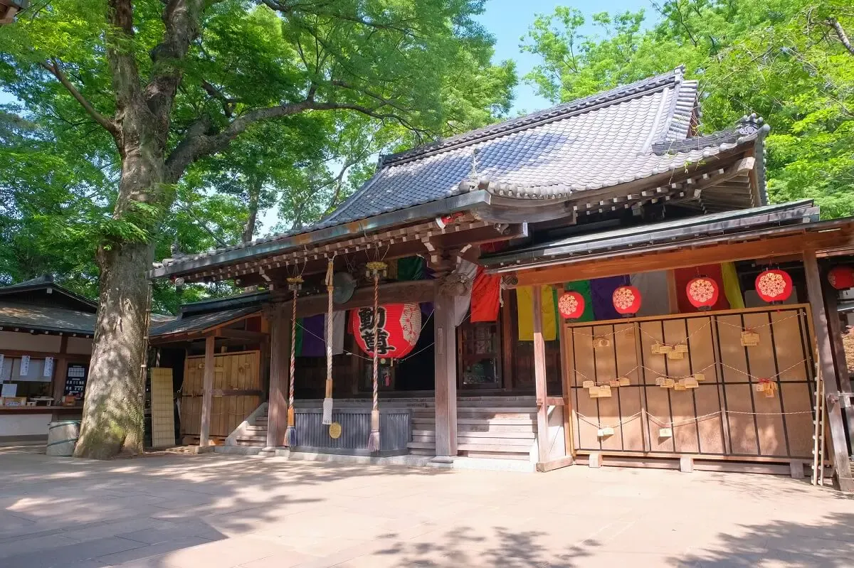 等々力渓谷（写真 5）