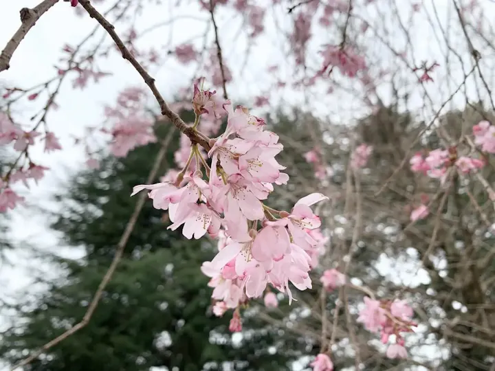 季節ごとのイベント盛りだくさん！