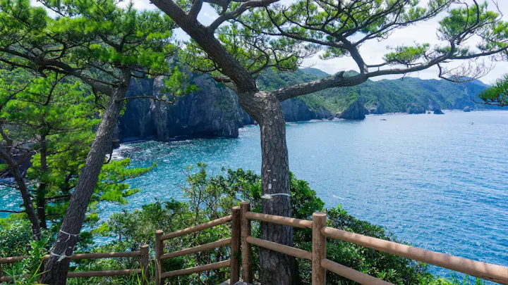 自然が織り成す岩の芸術品を鑑賞する散策路