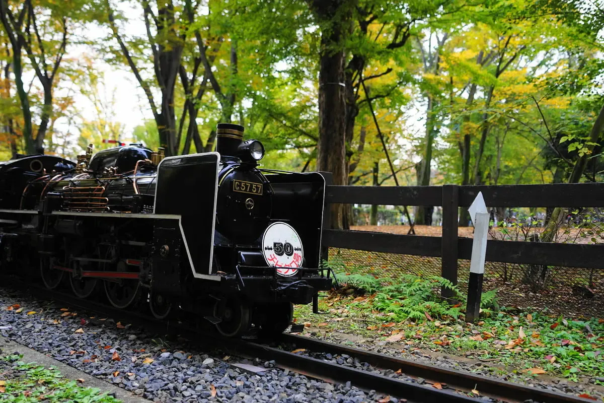 世田谷公園（写真 2）