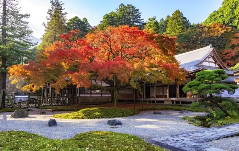 雷山千如寺大悲王院