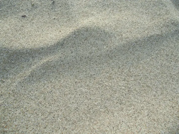 姉子の浜の鳴き砂