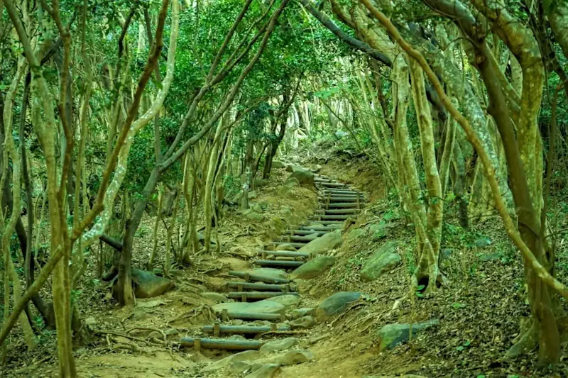 芥屋の大門